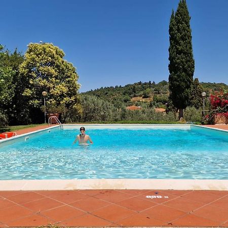 La Romita Ospitalita Rurale Familiare Villa Montisi Eksteriør billede