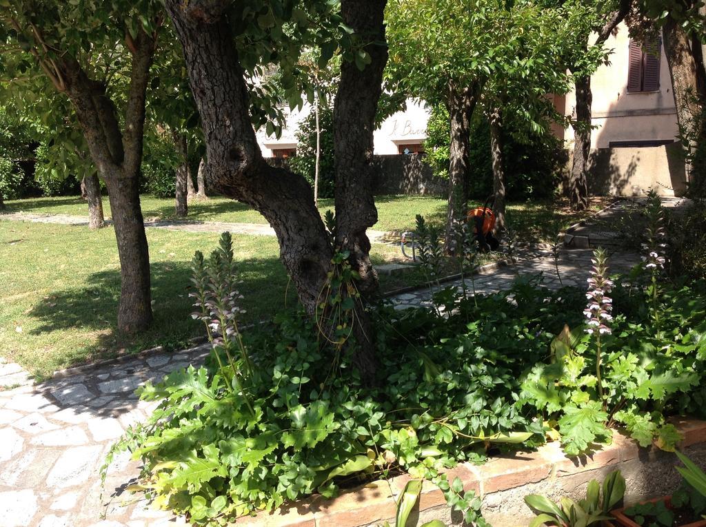 La Romita Ospitalita Rurale Familiare Villa Montisi Eksteriør billede